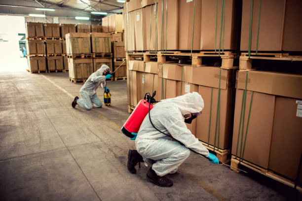 Best Ant Control Services  in Redstone Arsen, AL