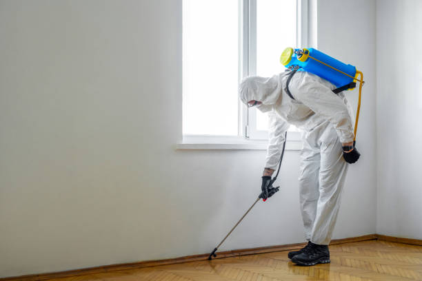 Best Rat Extermination Near Me  in Redstone Arsen, AL