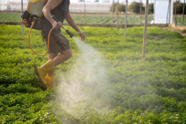 Best Insect Control  in Redstone Arsen, AL