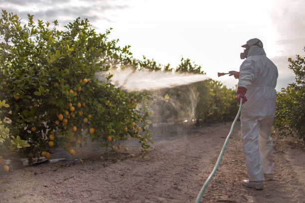 Best Affordable Pest Control Services  in Redstone Arsen, AL