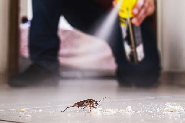 Reliable Redstone Arsenal, AL Pest Control Solutions